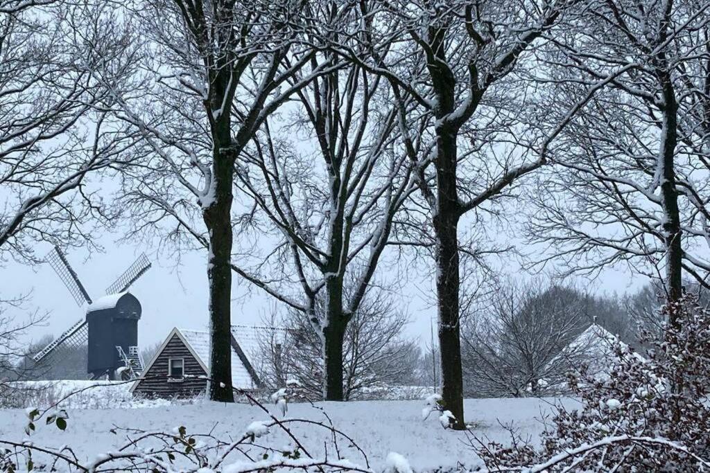 Chalet Het Wollinghuisje Vlagtwedde Eksteriør billede