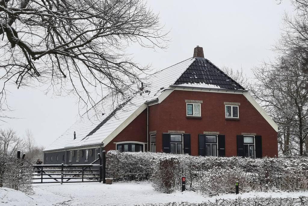 Chalet Het Wollinghuisje Vlagtwedde Eksteriør billede