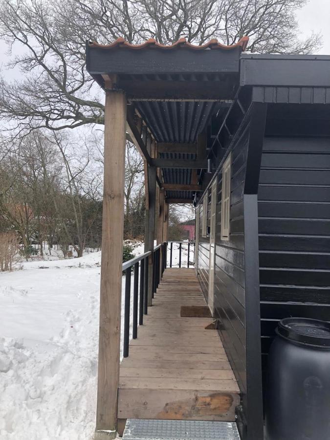 Chalet Het Wollinghuisje Vlagtwedde Eksteriør billede