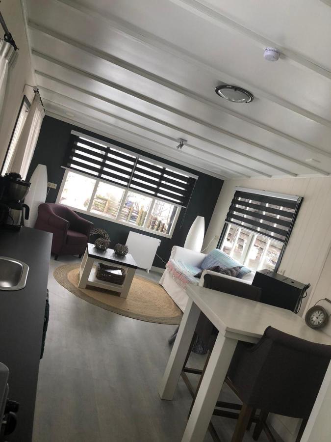 Chalet Het Wollinghuisje Vlagtwedde Eksteriør billede