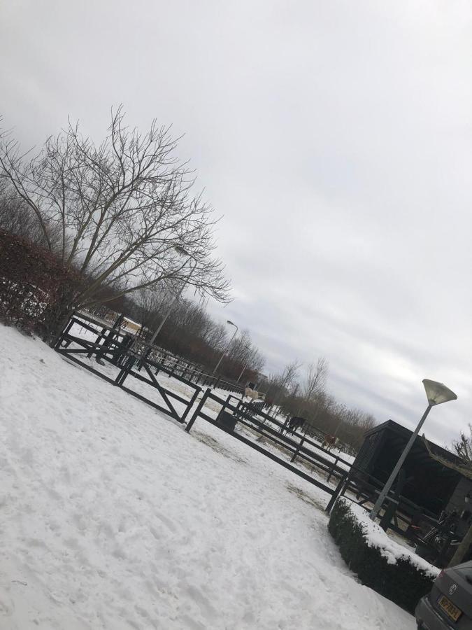 Chalet Het Wollinghuisje Vlagtwedde Eksteriør billede