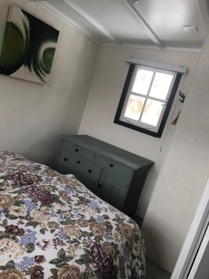 Chalet Het Wollinghuisje Vlagtwedde Eksteriør billede